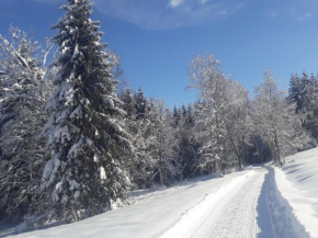 Cozy holiday apartment Dachsberg